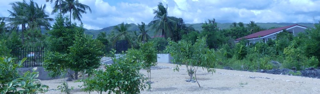 home6_1